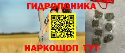 дживик Будённовск