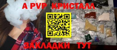 стаф Бузулук