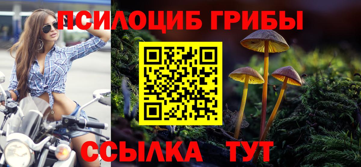 Псилоцибиновые грибы Cubensis Лабинск