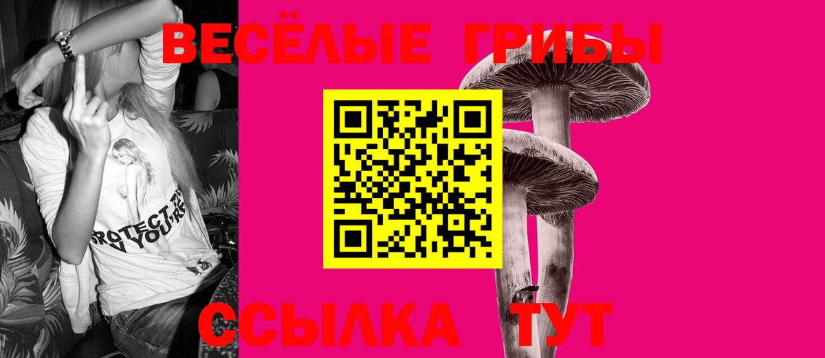 Лабинск  Псилоцибиновые грибы ЛСД  Псилоцибиновые грибы Psilocybe  Вход с VPN 